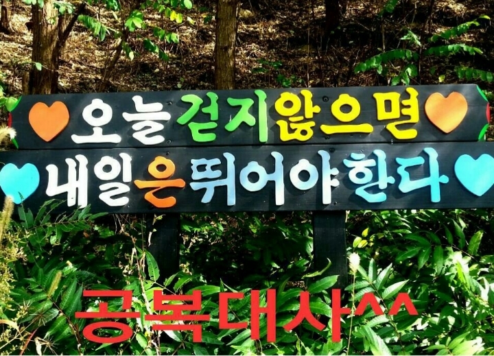 인디오가 이미지