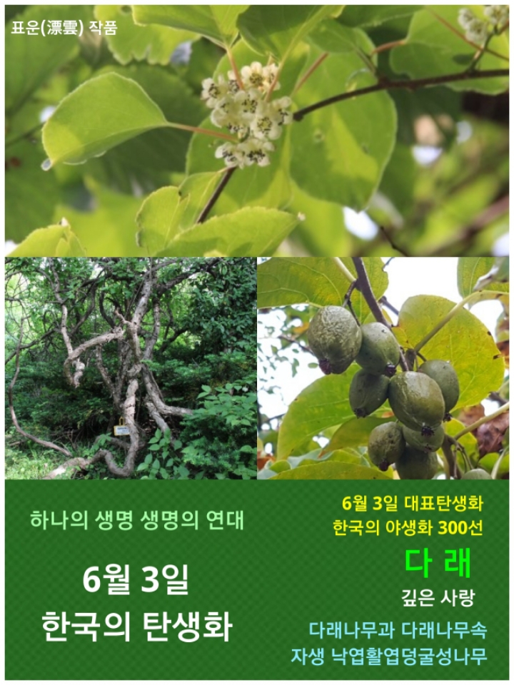 다래부부 이미지