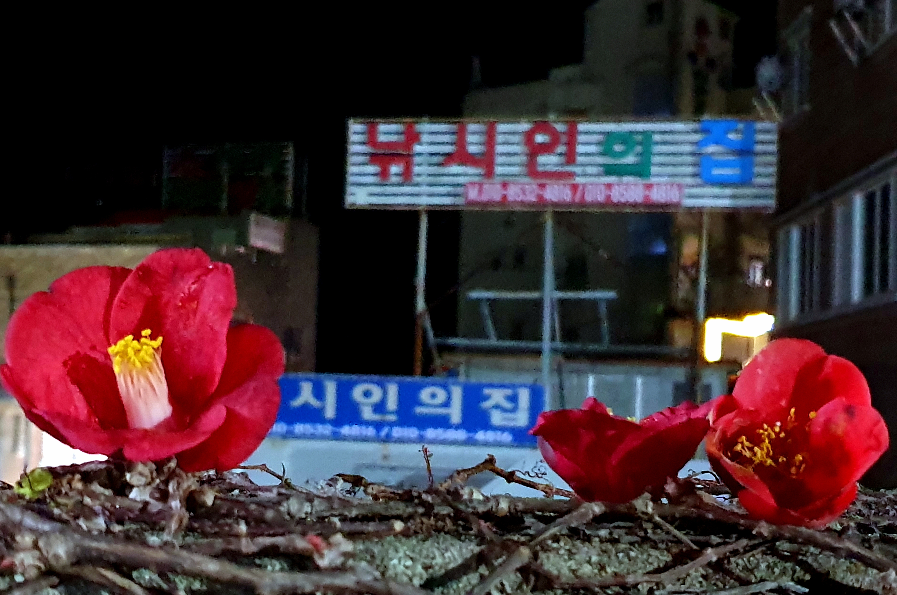 시인의집 이미지