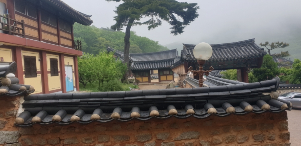 칼라노래연습장 이미지