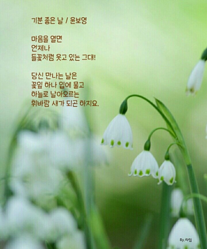 기분좋은날 이미지