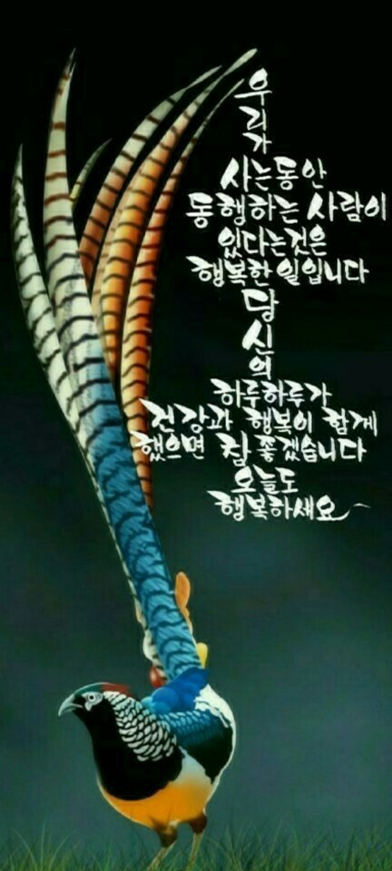 아름다운손길 이미지