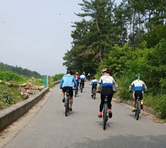정*모 이미지
