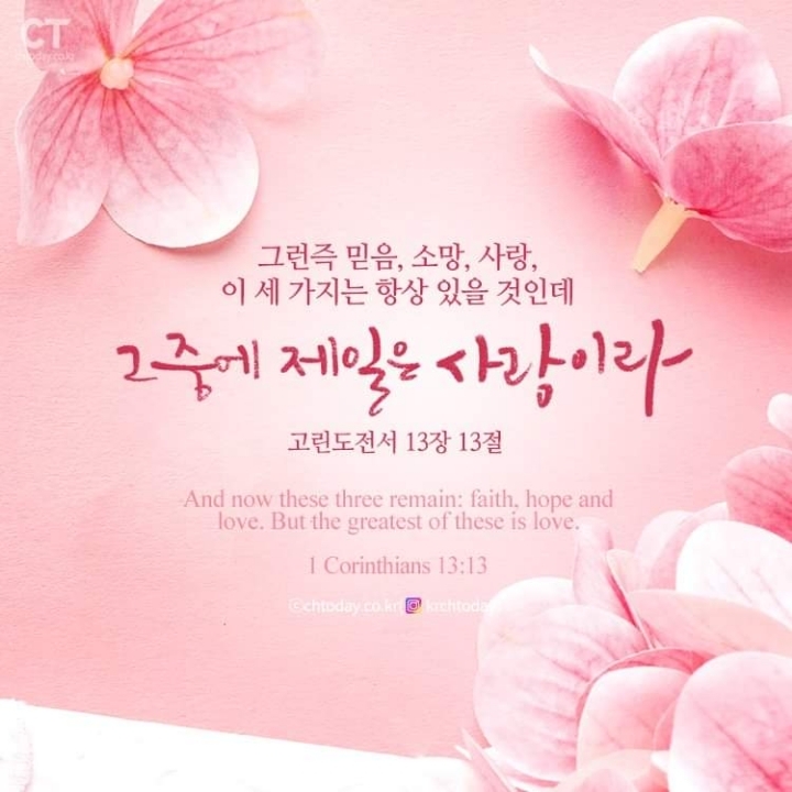 나운 이미지