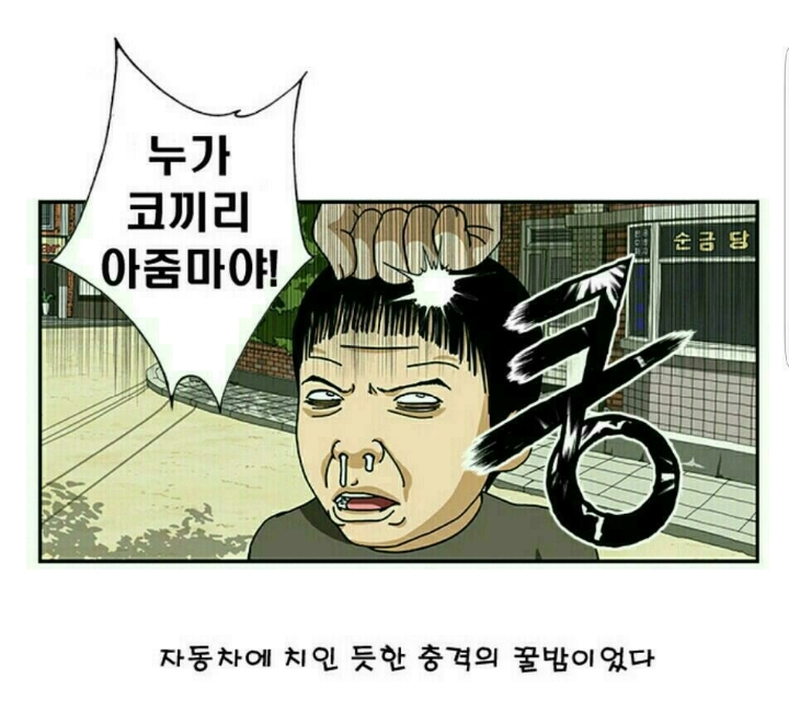 코끼리아줌마 이미지
