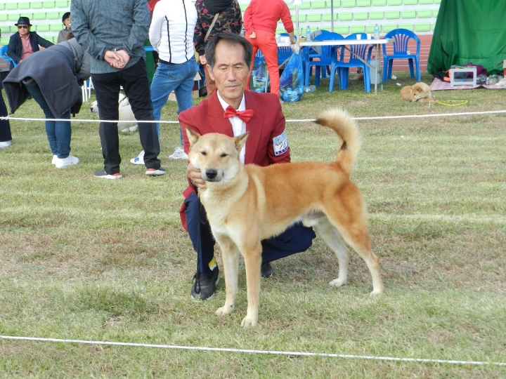 강토 이미지