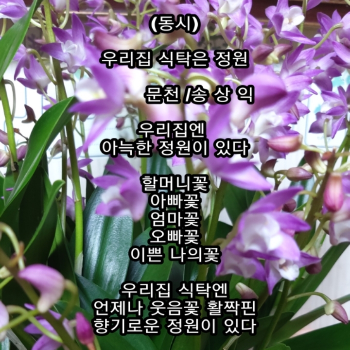 우리집식탁 이미지
