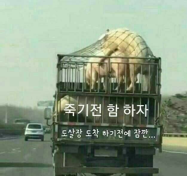 시골다방 이미지
