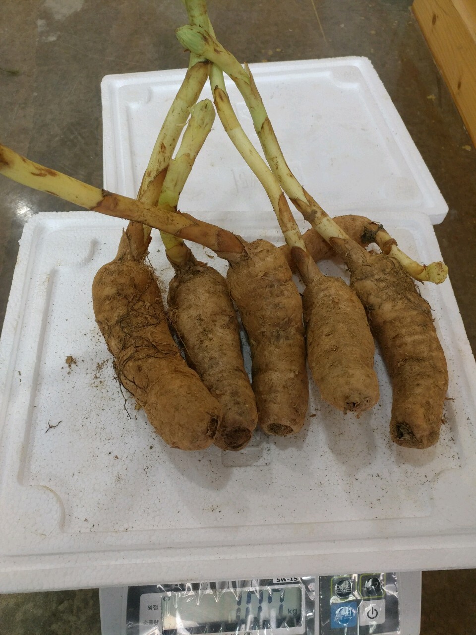 천마통신 이미지