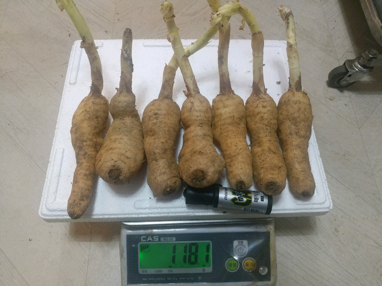 천마통신 이미지