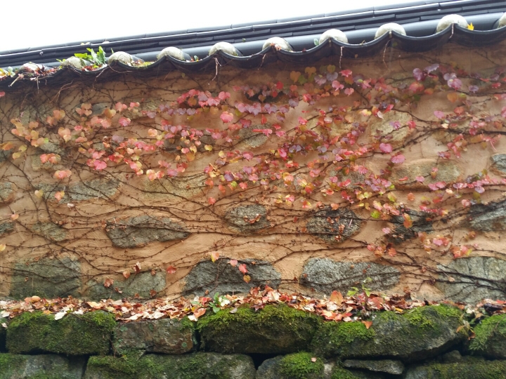 (주) 본라이프 이미지