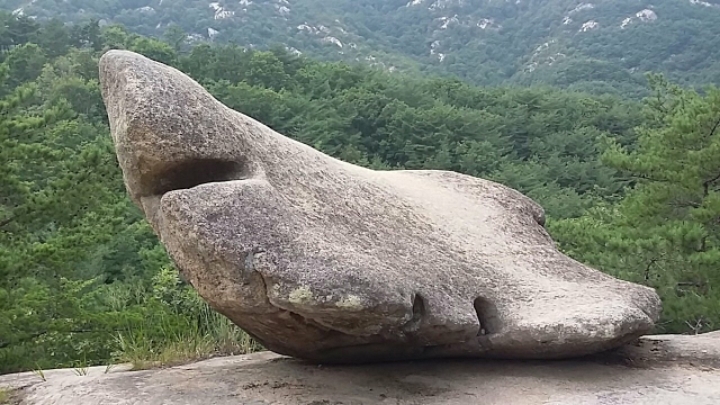 돌고래 바위? 이미지