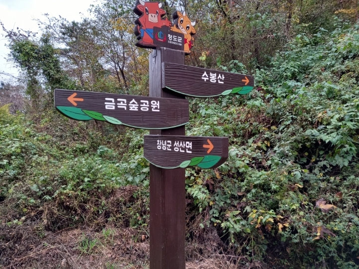 비슬지맥 556.2m 이미지