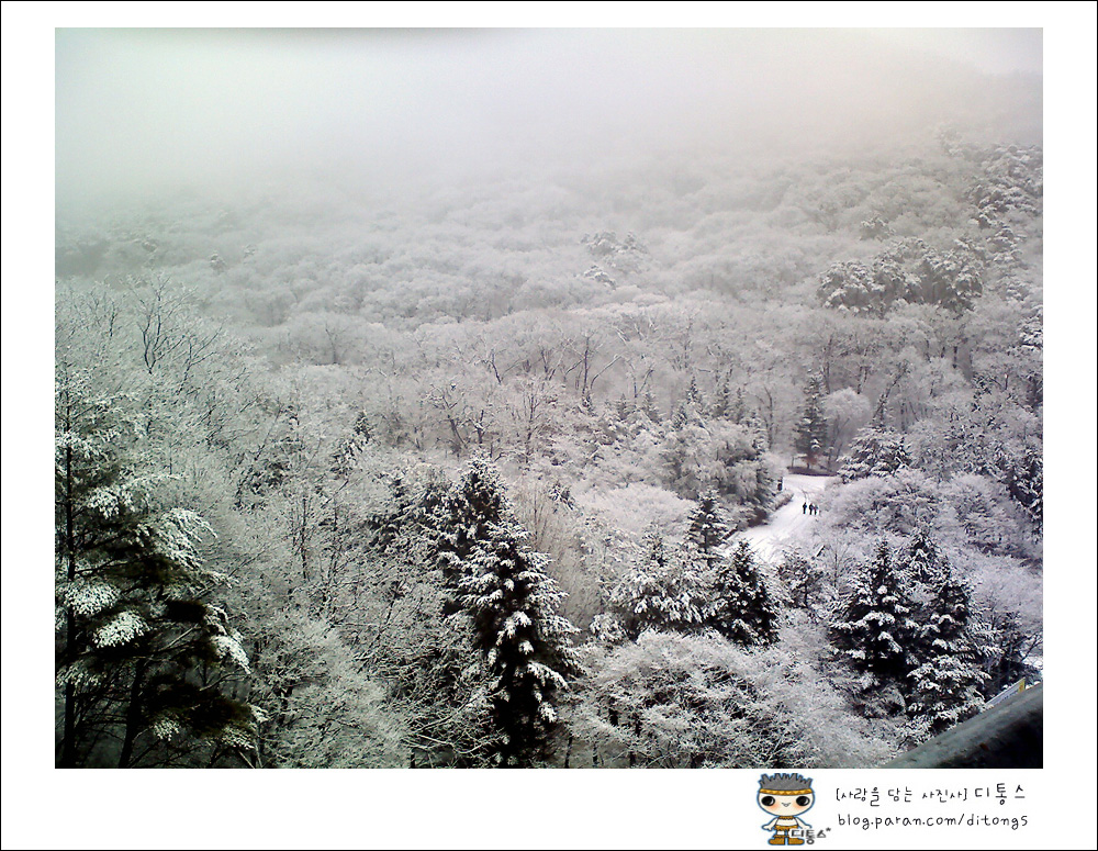 雪景