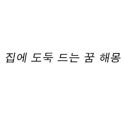 집에 도둑 드는 꿈 해몽