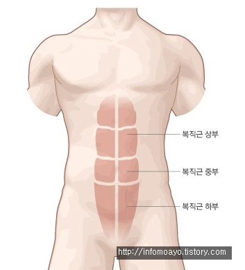 리버스 크런치 복부 단련하기!!