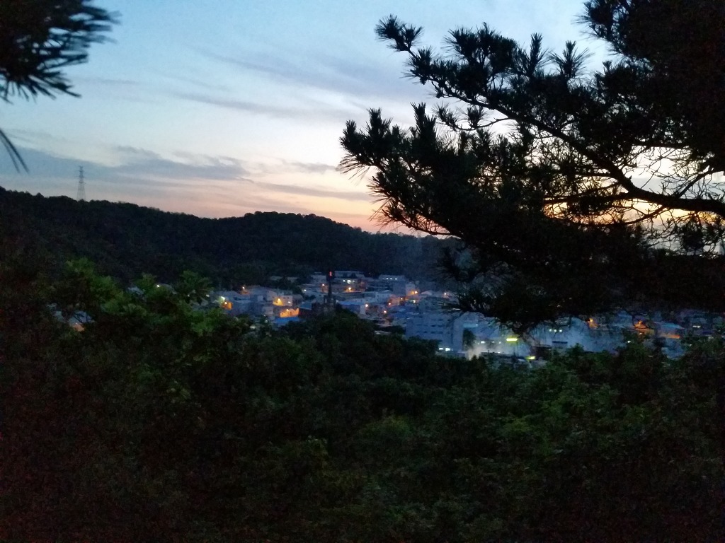 뒷 산