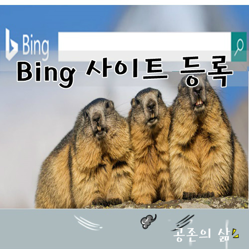 빙(Bing) 사이트 등록하기