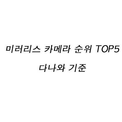 미러리스 카메라 순위 TOP5 다나와 기준