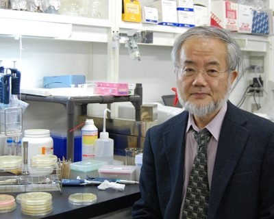 일본 노벨상 생리의학부문 오스미 요시노리 오토파지(자가포식) 연구