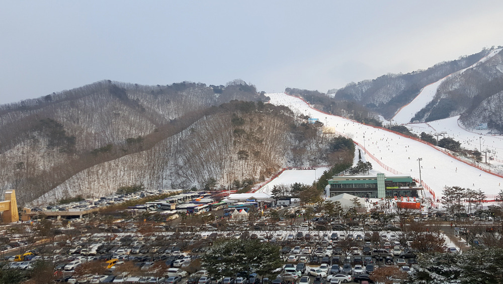 대명비발디파크에서 스키타며 신나는 홍천여행 즐기기