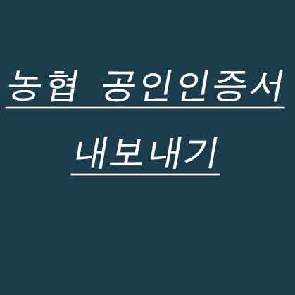 농협 공인인증서 내보내기