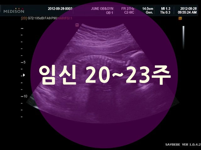 임신 20주, 21주, 22주, 23주 : 감정이 발달하는 시기에요^^