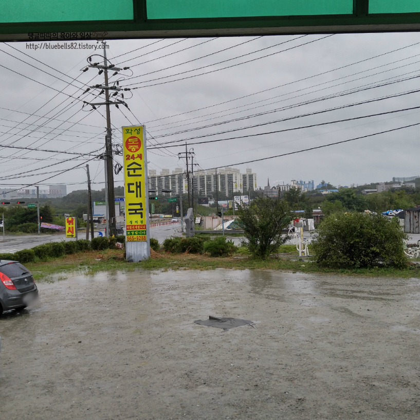 24시 화성 토종 순대국 천안 성거점 가봤어요