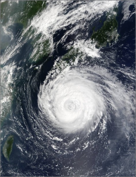 오늘은 태풍 말라카스