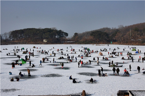강화빙어축제 겨울축제정보 공유