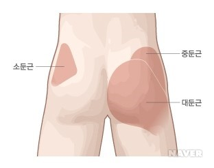 엉덩이 살빼는 운동 및 허벅지, 발뚝 포함