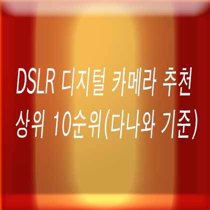 DSLR 디지털 카메라 추천 상위 10순위(다나와 기준)