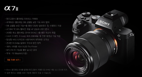 소니알파  A7 II 추천