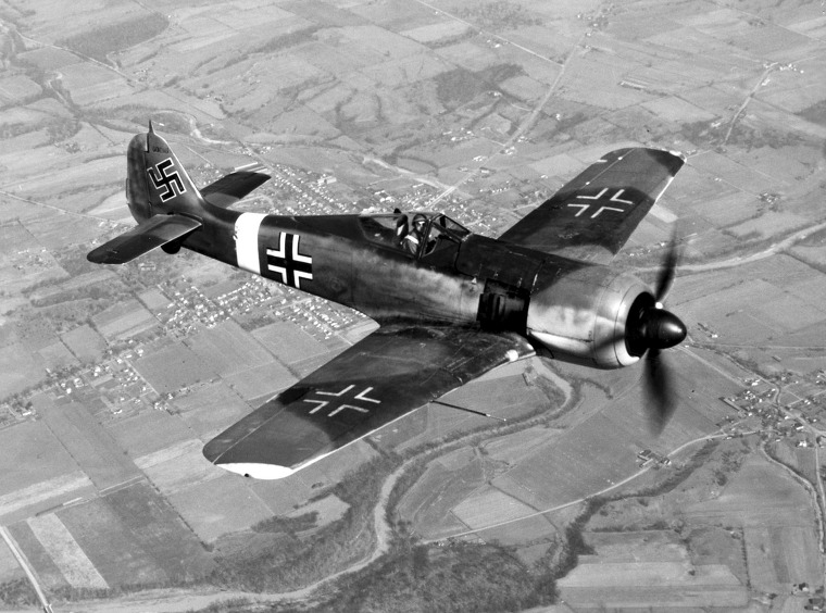 나치 전투기 땅속에서 발견, FW-190 은 무엇?