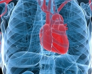 심장이 찌릿찌릿, 건강의 위험신호