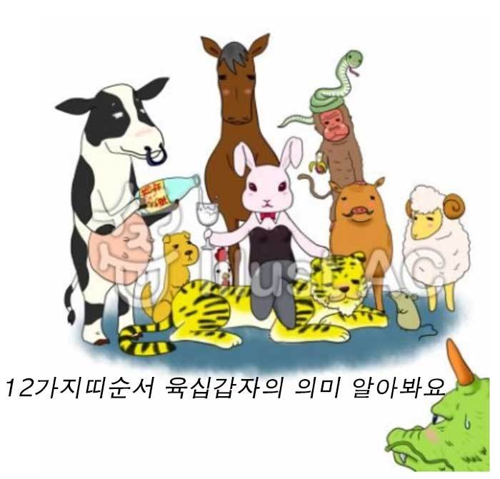 12가지띠순서 육십갑자의 의미 알아봐요