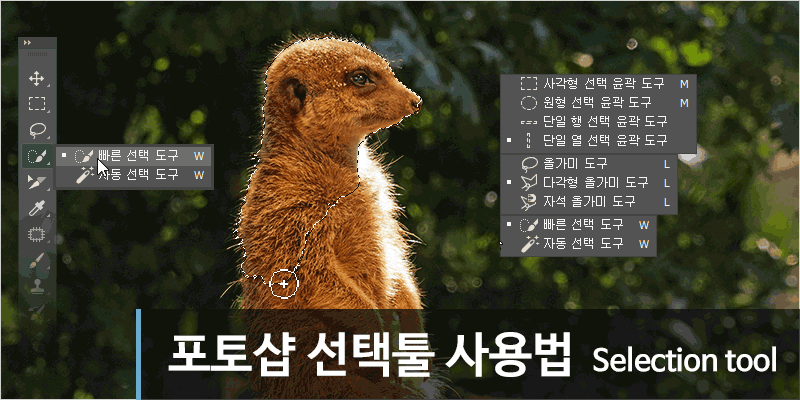 포토샵 선택툴 사용법 selection tool