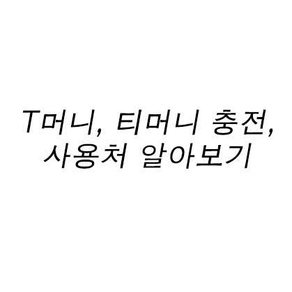 T머니, 티머니 충전, 사용처 알아보기