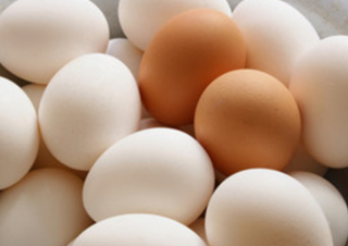 달걀 및 옻닭, 오골계 효능