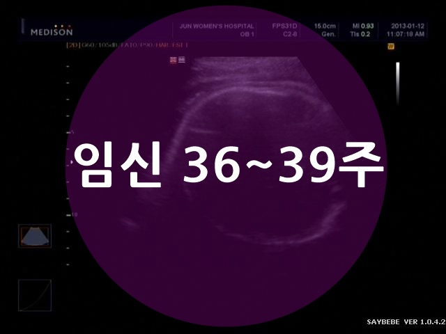 임신 36~39주 : 땡글이를 만나기위한 본격적인 준비^^