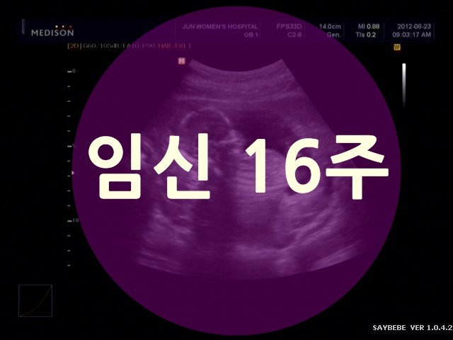 임신 16주,17주,18주,19주 : 태동이 느껴지는 시기에요^^