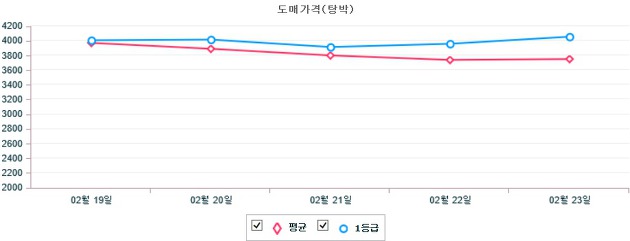 기간별 돼지 도매가격(탕박) 동향(2월 19일 ~ 2월 23일)