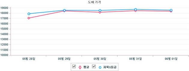 기간별 한우 도매가격 동향(5월 28일 ~ 6월 1일)