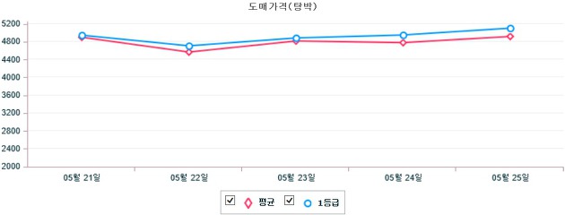 기간별 돼지 도매가격(탕박) 동향(5월 21일 ~ 5월 25일)