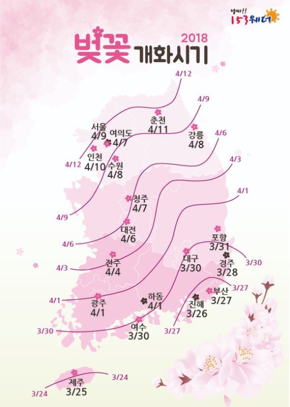 2018 벚꽃 개화시기 및 전국 벚꽃 축제일정 정리