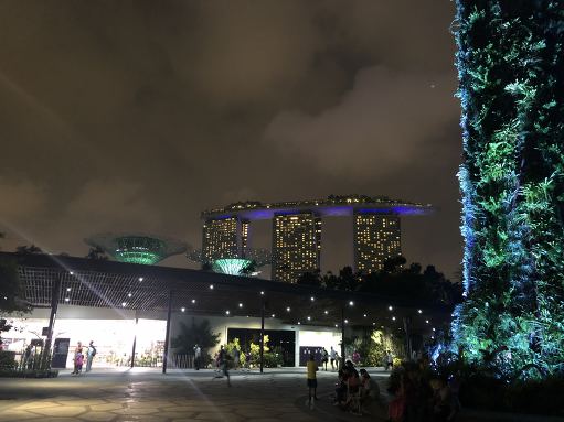 싱가포르 구경( 차이나 타운,마리나 베이 샌즈, 가든스 바이 더베이 야경)