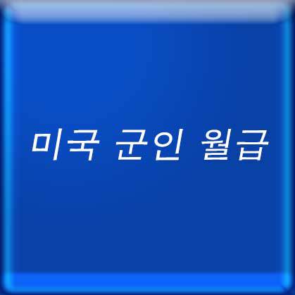 미국 군인 월급