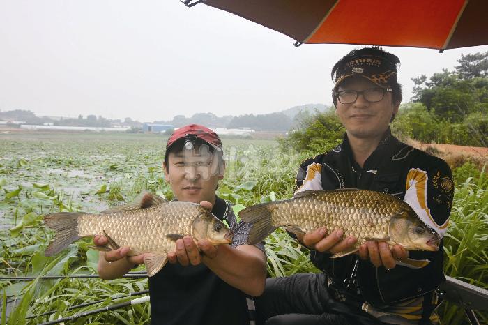 [영암]봉호저수지(봉호제)