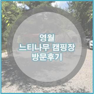 [일상] 강원도 영월 느티나무 캠핑장