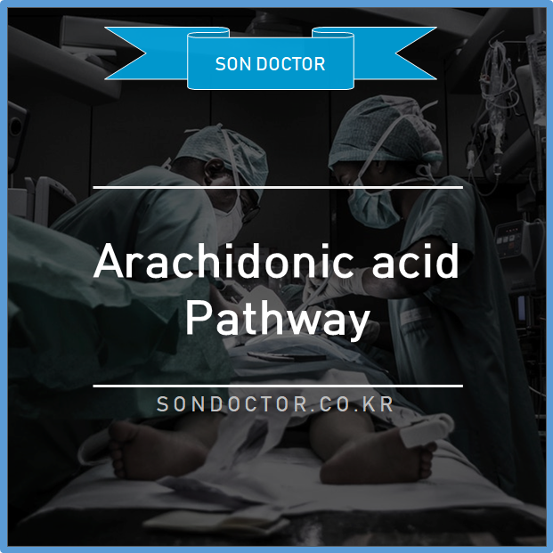 Arachidonic acid pathway